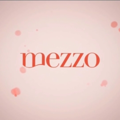 MEZZO Bumpers 2016