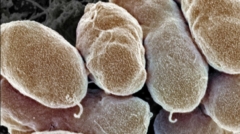 Venenum_interactif_poster_01