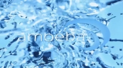 Amoeba_Poster