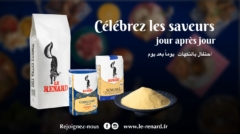 Renard_12s_VFR_M4_v09_poster