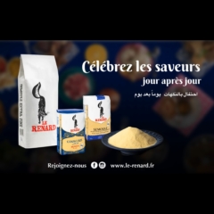 Renard_12s_VFR_M4_v09_poster