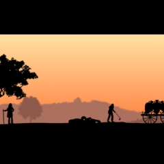 Histoire des vins de bourgogne